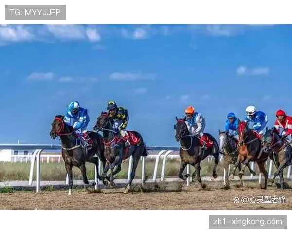 法国前锋达林加每90分钟跑动11.3公里，永动机属性显著